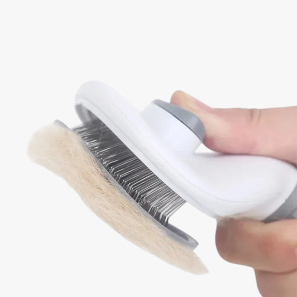 Hair Removal Brush for Pets-villaayr.com