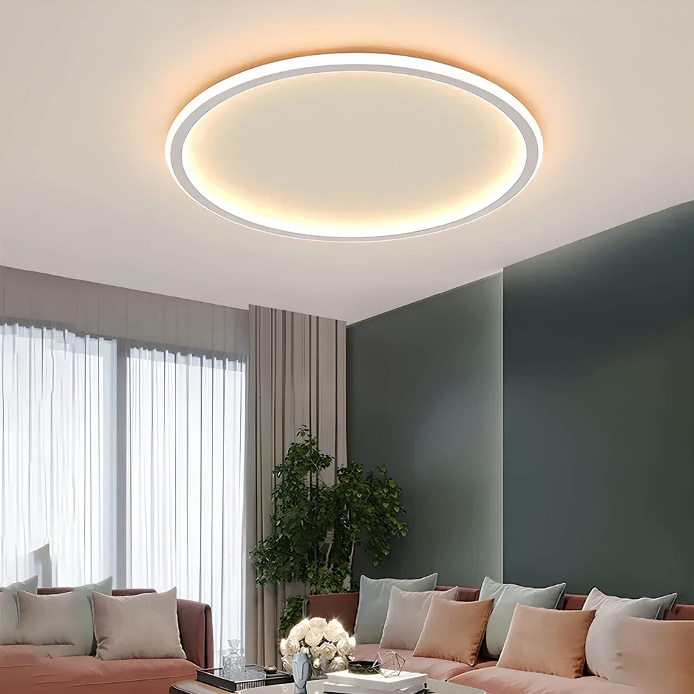 LED Ceiling Light Globe-villaayr.com