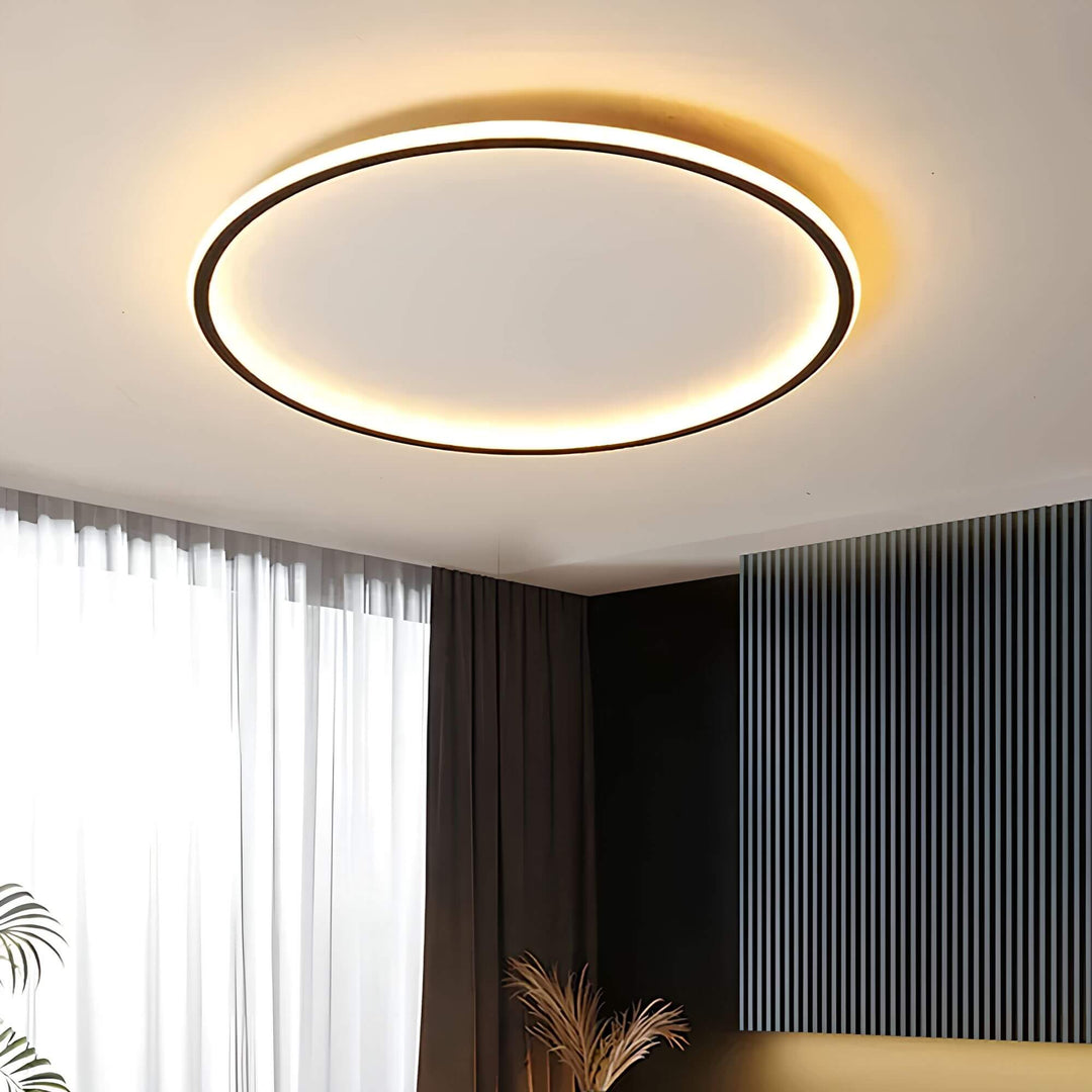 LED Ceiling Light Globe-villaayr.com